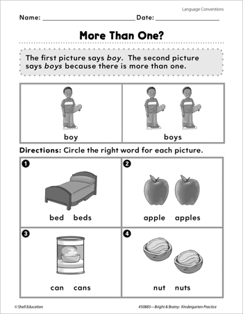 Language Conventions: Singular vs. Plural
